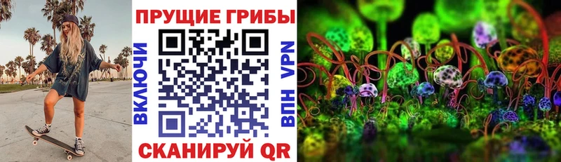 Псилоцибиновые грибы GOLDEN TEACHER  Купить где  Гуково 