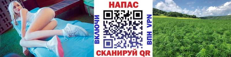 Конопля план Гуково